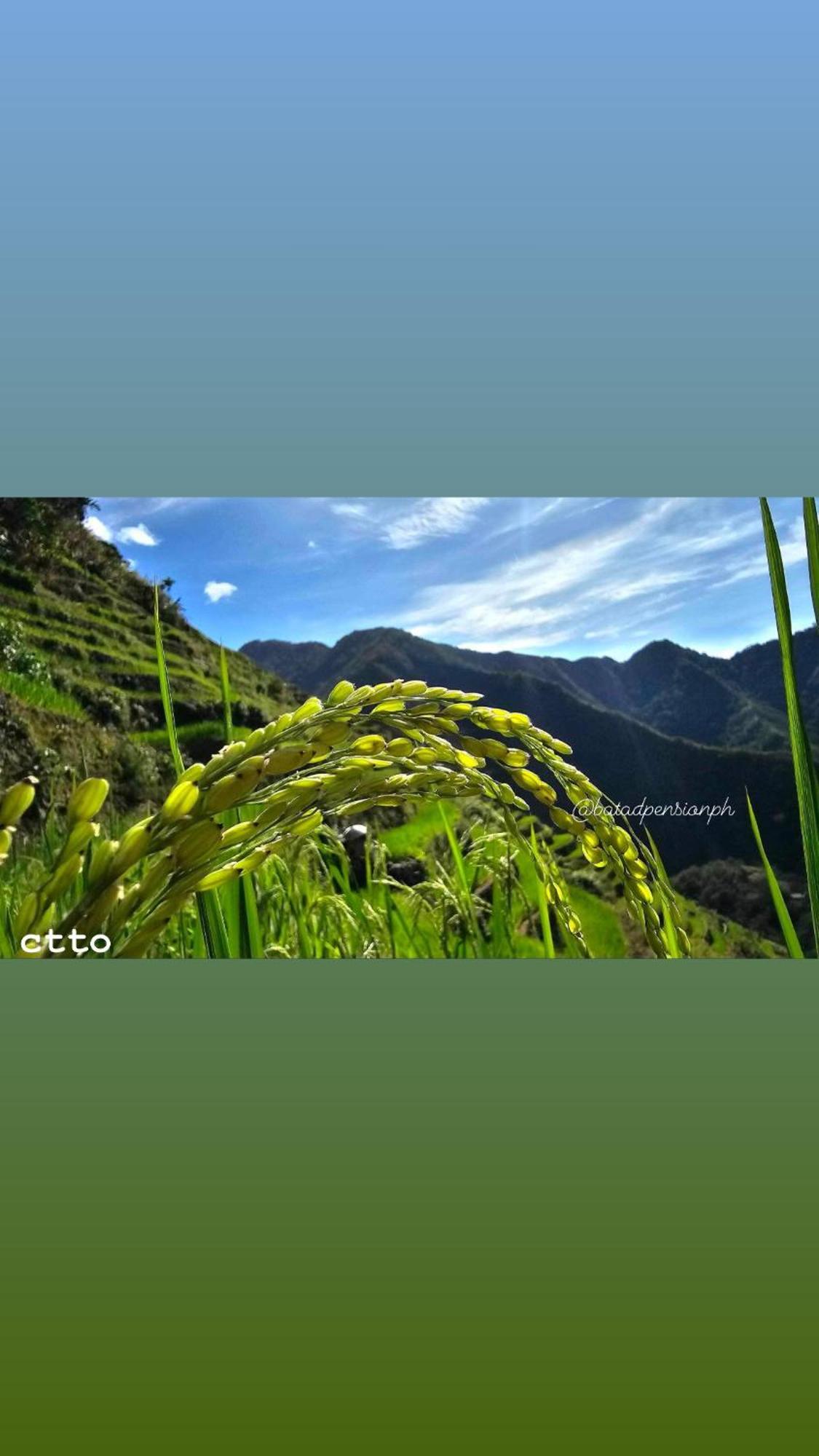 Batad Pension Ph بناو المظهر الخارجي الصورة